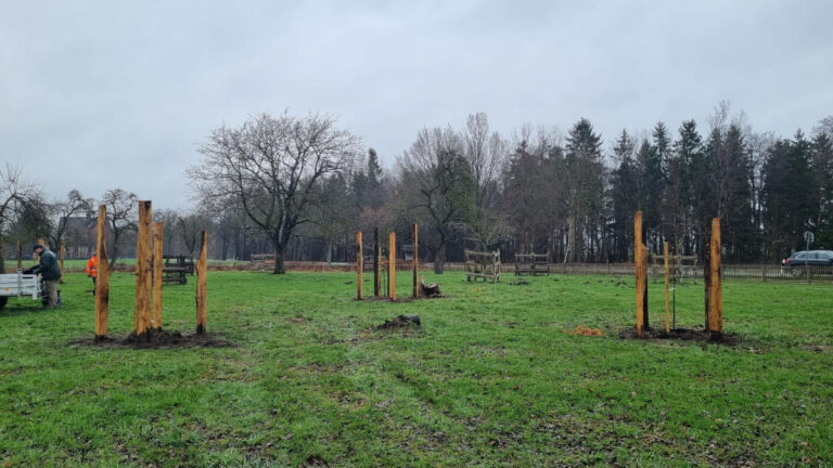 Apfelbaumwiese Eversen