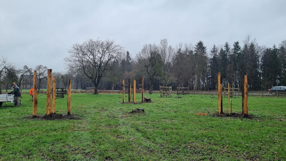 Apfelbaumwiese Eversen